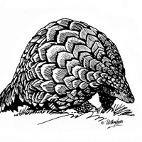 Illustration of an ietermagog