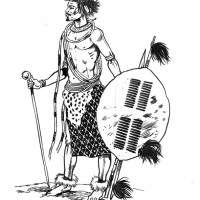 Educational illustrations -history. Pen and ink line drawing of a Zulu warrior Illustration of a Zulu warrior