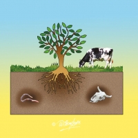 Illustration of fossil fuel formation