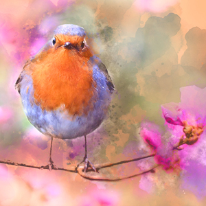 Digital